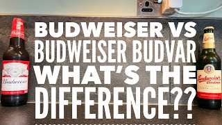 Budweiser Vs Budweiser Budvar  Whats The Difference Lets Find Out [upl. by Kalil]