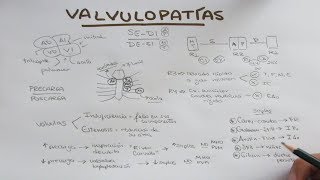 Semiología cardiovascular focos cardiacos soplos R3 R4 [upl. by Ilke]