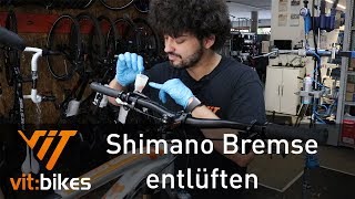 Shimano Bremse entlüften Teil 2  Entlüften  vitbikesTV 197 [upl. by Alurta]