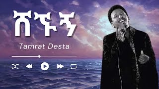 Tamrat Desta  Shegnun  ሸኙኝ በግጥም Lyrics 2024 [upl. by Payson805]