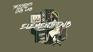 DUB REGGAE SESSION  ELEMENT DUB  ROOTS REGGAE INSTRUMENTAL [upl. by Araeit637]