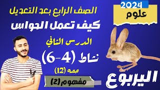 حل ورقة عمل الفصل  الأداء الصفى  الاسبوع الثالث عشر 13 علوم الصف الرابع الابتدائي ترم الاول ٢٠٢٥ [upl. by Themis]