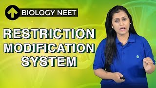 Restriction Modification System  Hindi  Biology NEET [upl. by Cedell994]