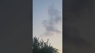 a HUGE BIRD CLOUD cat duet animal funny [upl. by Aihseuqal]