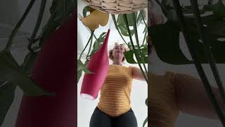 Watering my Monstera plants comedy funny [upl. by Ahsemat]