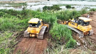 The Ultimate Land Clearing Brush And Cutting Leveling Land By SHANTUI Bulldozer Skills operator [upl. by Polak]