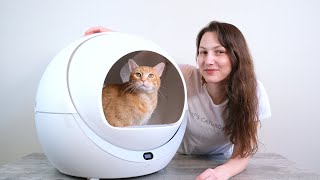 Petree Automatic SelfCleaning Litter Box Review We Tried It for 2 Weeks [upl. by Artamas]