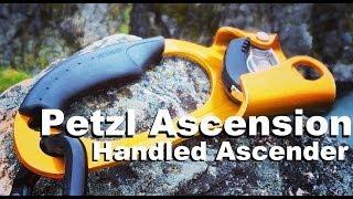 Petzl Ascension Handled Ascender [upl. by Rhys]