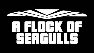 Flock of Seagulls History and Evolution [upl. by Kerad]