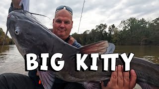 BIG SANTEE COOPER KITTY [upl. by Liemaj]