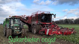 Suikerbietenoogst  Bietenrooier  Sugar Beet Harvest  Bieten rooien  Zuckerruben ernten [upl. by Jewelle]