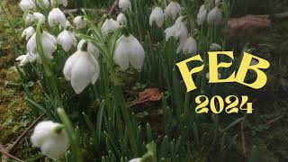 🕯 February 2024 Almanac 🕯 Brigid folklore boscastle imbolc [upl. by Kuster]