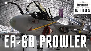 EA6B Prowler  Behind the Wings on PBS [upl. by Haimes46]