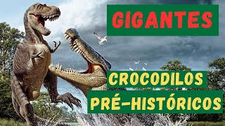 OS MAIORES CROCODILOS PRÉHISTÓRICOS DO MUNDO GIGANTES DO PASSADO MAIORES QUE MUITOS DINOSSAUROS [upl. by Isbella]