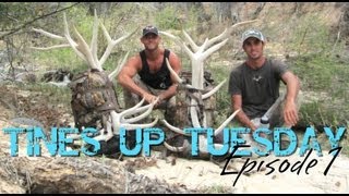 Tines Up Tuesday Episode 1 Shed Antler Hunting Overnight Backpack Trip with Tadd and Eric [upl. by Jamnis]