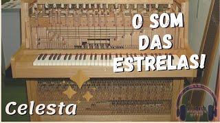 🧙 Conheça a Celesta  Instrumentos Musicais [upl. by Eigram]