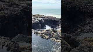 Thor’s Well A perfect instagramable place lifeofshai thorswell oregoncoast [upl. by Inwat]