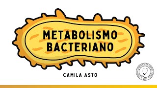 METABOLISMO BACTERIANO  Microbiología [upl. by Nocaj]