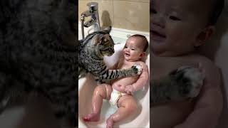 Cat bathes baby [upl. by Ahsinrat]