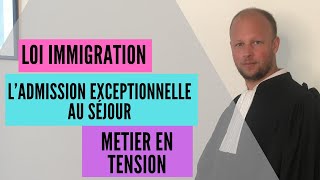 Loi immigration  le titre quotmétier en tensionquot [upl. by Aiuqes741]