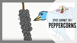 Spice Cabinet 101 Peppercorns [upl. by Ydissahc]