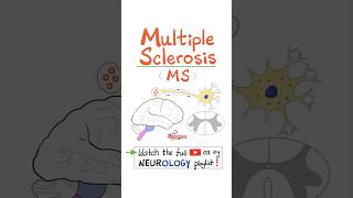 Multiple Sclerosis MS Demyelinating Autoimmune Disease  Part 3…anatomy neuro nurse mbbs [upl. by Collimore966]