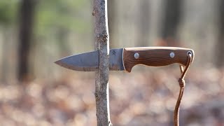 The Oldtime Woodsmen Never Told You About this One Traditional Woodworking Bushcraft Hack [upl. by Drarehs365]