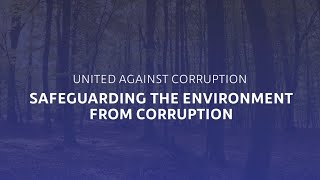 Action Now Combating Corruption to Protect the Environment  CoSP10 [upl. by Inavoy]