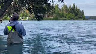 Catching Reds on the Kenai 2024 [upl. by Vittorio]