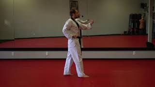 White Belt Form Taegeuk Il Jang Reverse View Full Speed [upl. by Umberto]