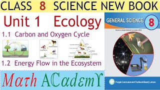 Science 8 Unit 1 Ecology  Carbon and oxygen cycle  Energy flow in the ecosystem [upl. by Ibot]