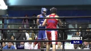 Golden Gloves Boxing 2014 [upl. by Yelich]