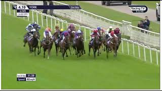 Race 5 1610 York 21 Aug 2024 Sky Bet Stayers Handicap [upl. by Enia]