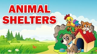 Class 3  Animal Shelter  EVS  English Medium  Maharashtra State Board  Home Revise [upl. by Berhley]