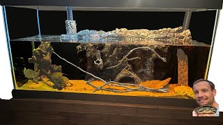 Painted Turtle Paludarium Enclosure Build Time Lapse [upl. by Dyol104]