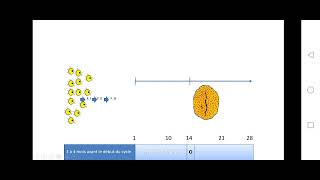 Bac math et sc  SVT  EP16  le cycle ovarien partie2 [upl. by Clie]