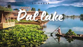 Srinagar Dal lake Kashmir Beauty of Kashmir [upl. by Osmund771]