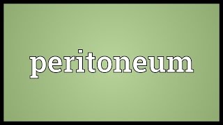 Peritoneum Meaning [upl. by Itirahc]