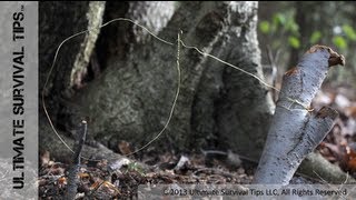 How to Make a Basic SNARE Trap with Paracord or Wire  Catch Your Own Survival Food [upl. by Releehw585]