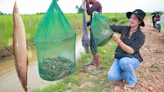 Have You Ever Seen Mud Fish Fishing Like This Before  Mud Fish Catching And Cooking  Crispy Fish [upl. by Hamo289]