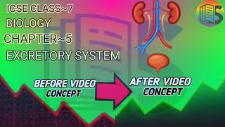 Excretory System in Humans  ICSE CLASS 7 Biology [upl. by Acinomahs]