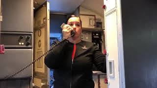 Southwest Airlines flight attendant chokes up thanking Honor Flight veterans [upl. by Asiral]