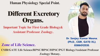 Different Excretory Organs Human Physiology PGT BIOLOGY CSIRGATERPSCMPPSCHPSCBPSC  ZOOLOGY [upl. by Harmonie641]