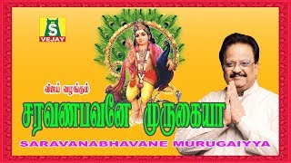 SARAVANA BHAVANEA MURUGAIYYA  முருகன் பக்தி பாடல்கள்  SPBALASUBRAMANIAM  MURUGAN SONGS [upl. by Allertse]