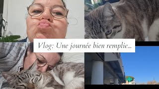 Vlog du 23 Janvier  Une journée bien remplie  moment câlins [upl. by Aneer441]