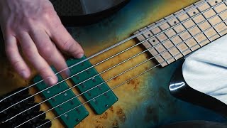 Synapsa  Bleed Inside bass playthrough [upl. by Nilac]