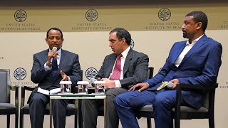 A Changing Ethiopia Understanding Medemer [upl. by Uzia]