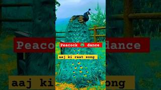 Peacock 🦚 danceaaj ki raat shorts [upl. by Irot]