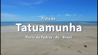 ALDRONE Imagens  Praia de Tatuamunha litoral alagoano [upl. by Trevor]