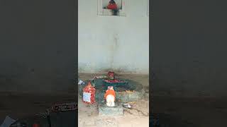 Shiv amrit ki pavan hara shortvideo shorts short [upl. by Nevsa]